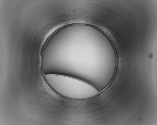 X0000112461238200908171008