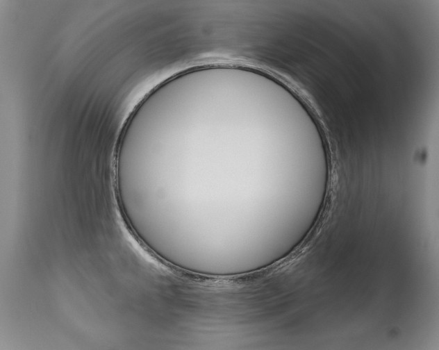 X0000112461239200908171008