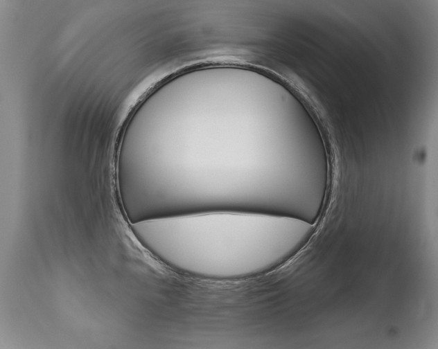X0000112461240200908171008