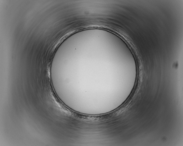 X0000112461241200908171008