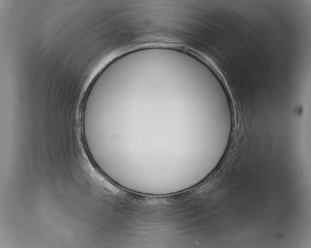 X0000112461243200908171008