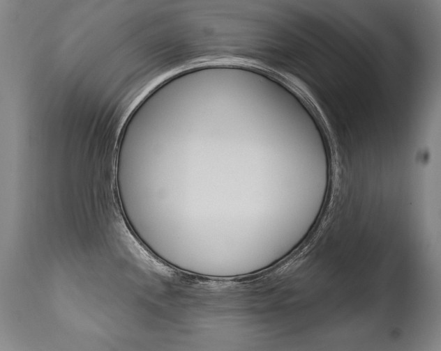X0000112461244200908171008