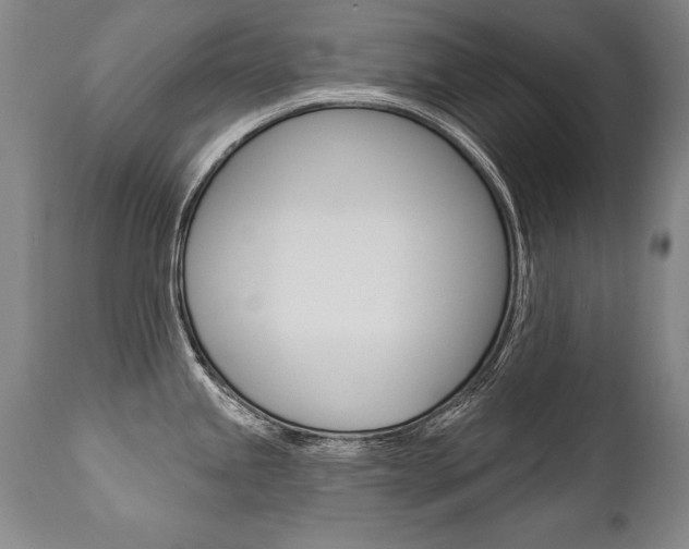 X0000112461245200908171008