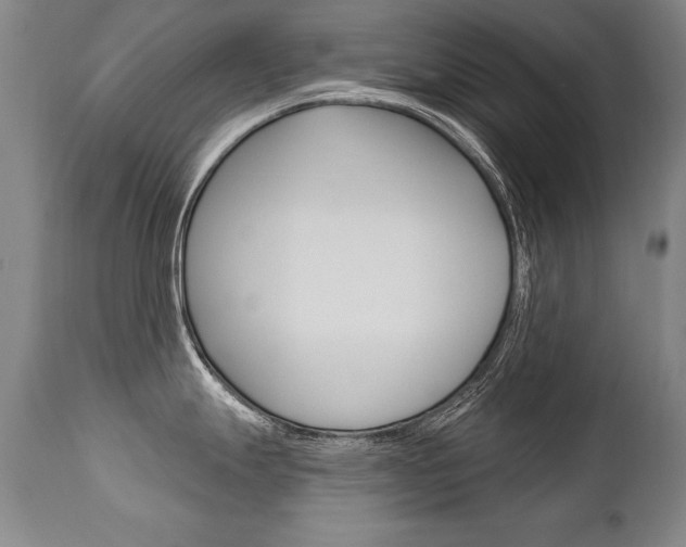 X0000112461247200908171008