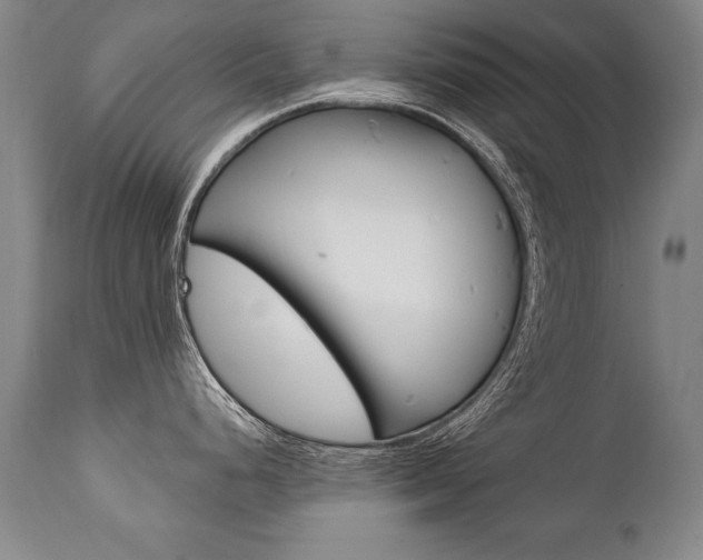 X0000112461248200908171008