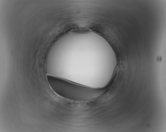 X0000112461249200908171008
