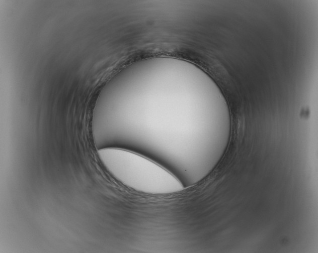 X0000112461250200908171008