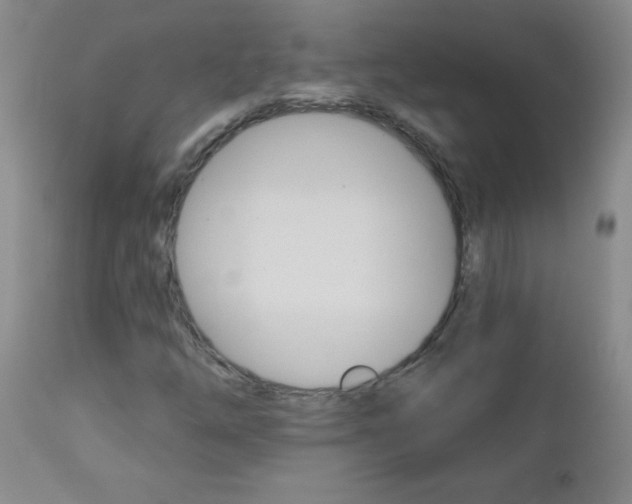 X0000112461254200908171008