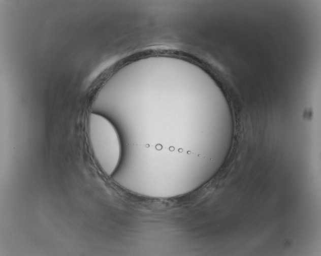 X0000112461255200908171008