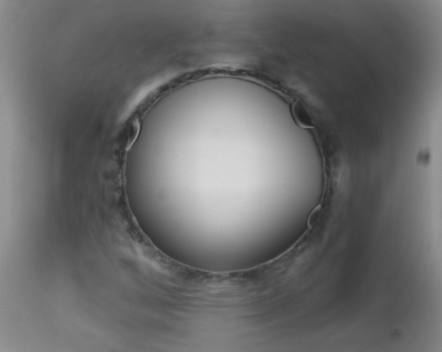 X0000112461256200908171008