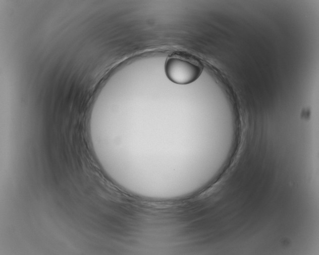 X0000112461257200908171008