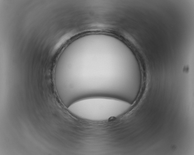 X0000112461259200908171008