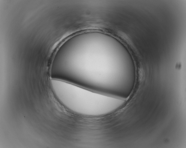 X0000112461260200908171008