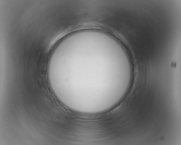 X0000112461261200908171008