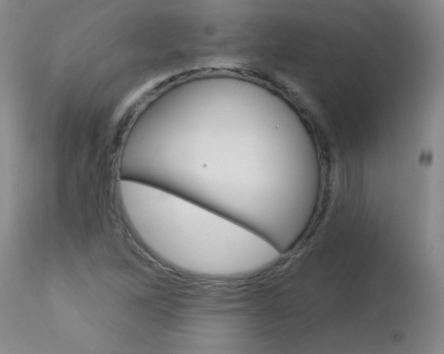 X0000112461262200908171007