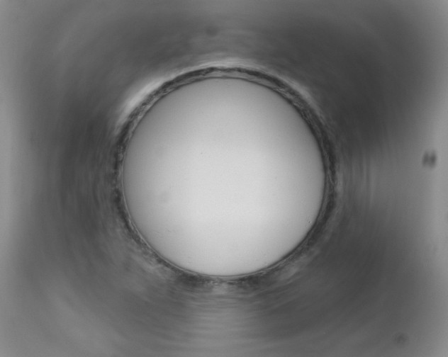 X0000112461263200908171007