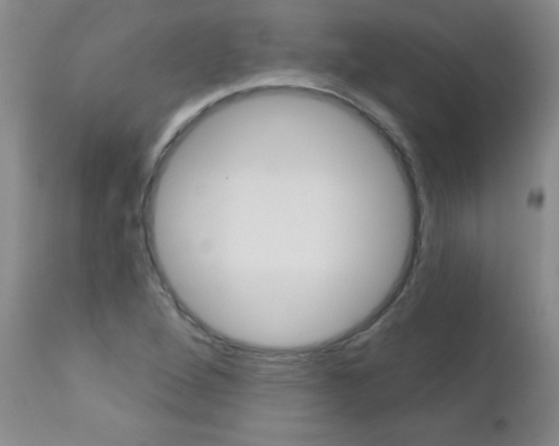 X0000112461264200908171007