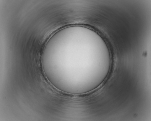 X0000112461265200908171007