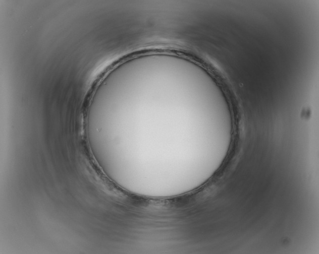 X0000112461267200908171007