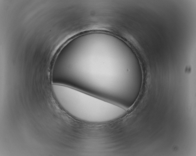 X0000112461268200908171007