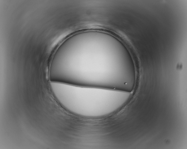 X0000112461269200908171007