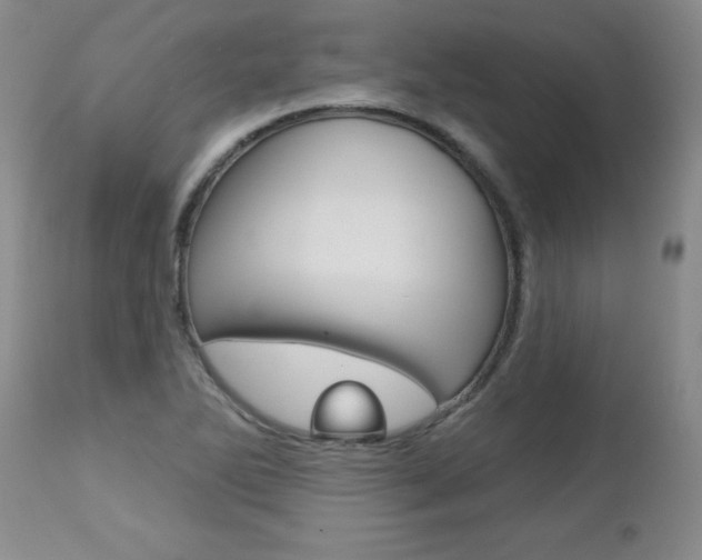 X0000112461270200908171007