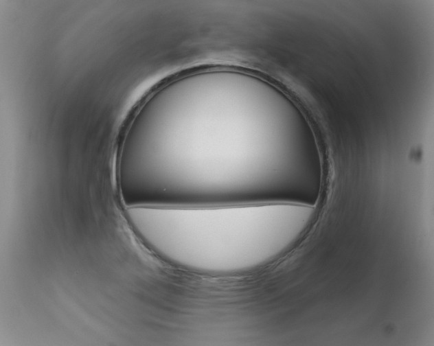 X0000112461272200908171007