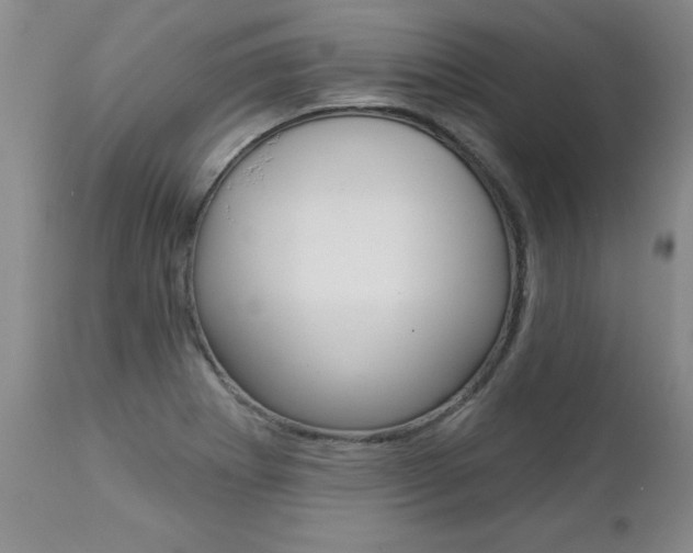 X0000112461273200908171007