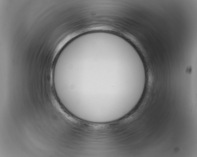 X0000112461274200908171007