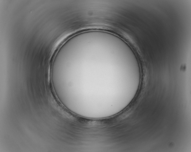 X0000112461275200908171007