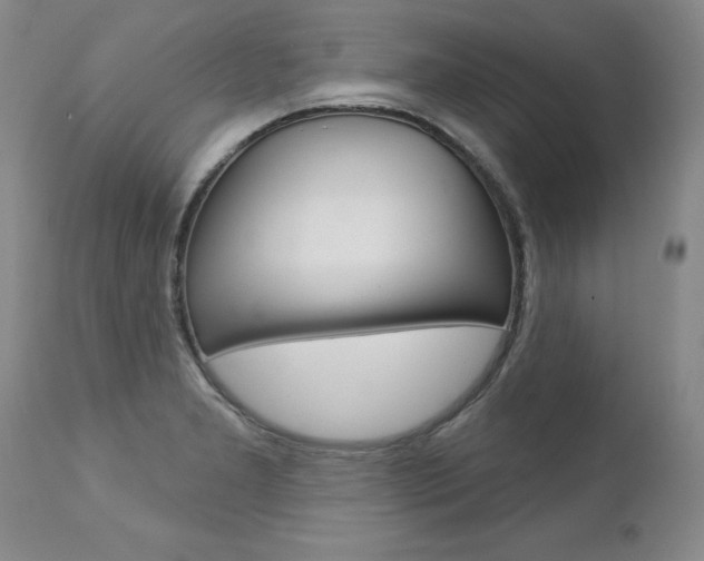 X0000112461277200908171007
