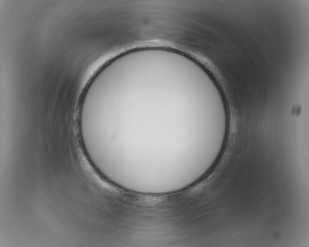 X0000112461278200908171007