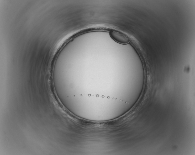 X0000112461279200908171007