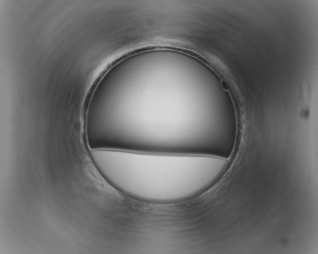 X0000112461280200908171007