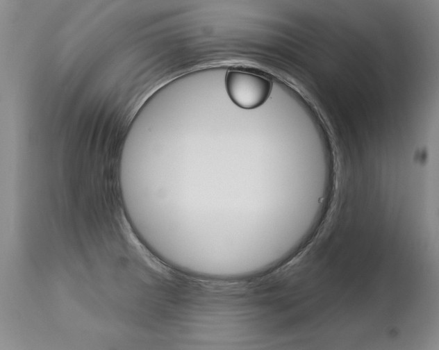 X0000112461281200908171007