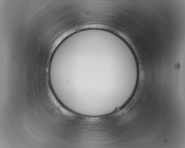 X0000112461282200908171007