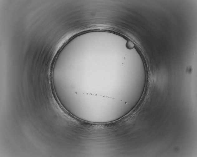 X0000112461283200908171007
