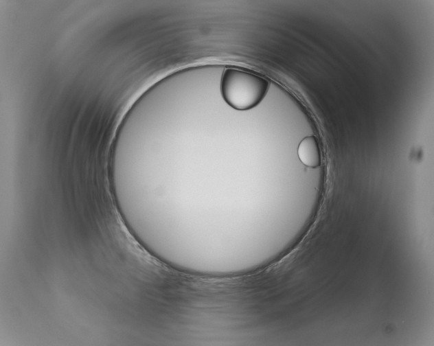 X0000112461284200908171007