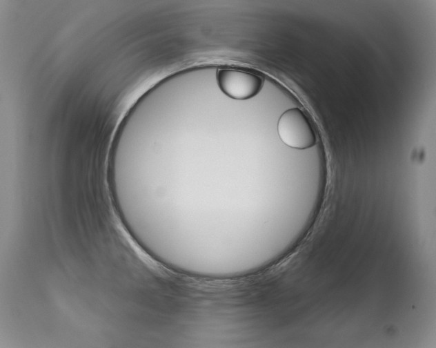 X0000112461285200908171007