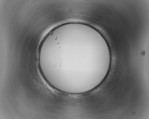 X0000112461286200908171007