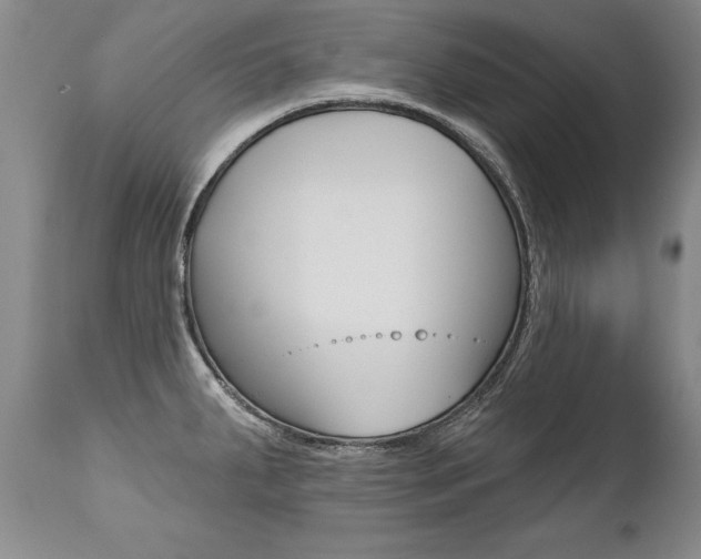 X0000112461287200908171007