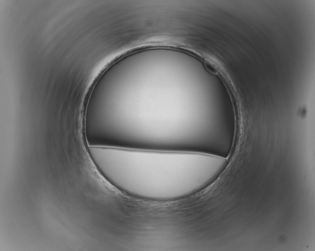 X0000112461288200908171007