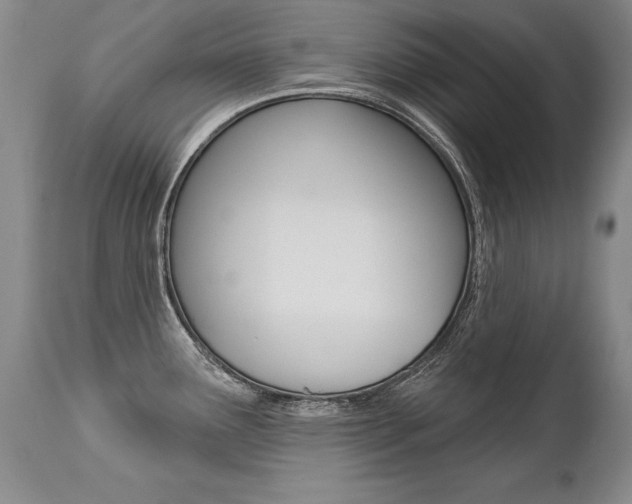 X0000112461291200908171007