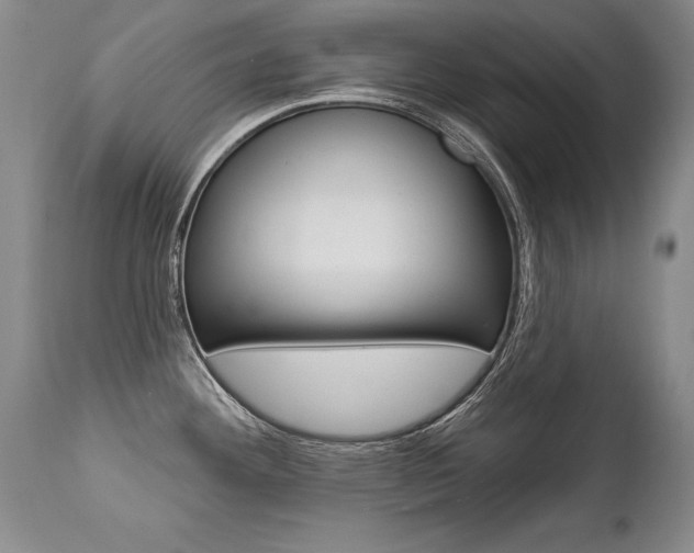 X0000112461292200908171007