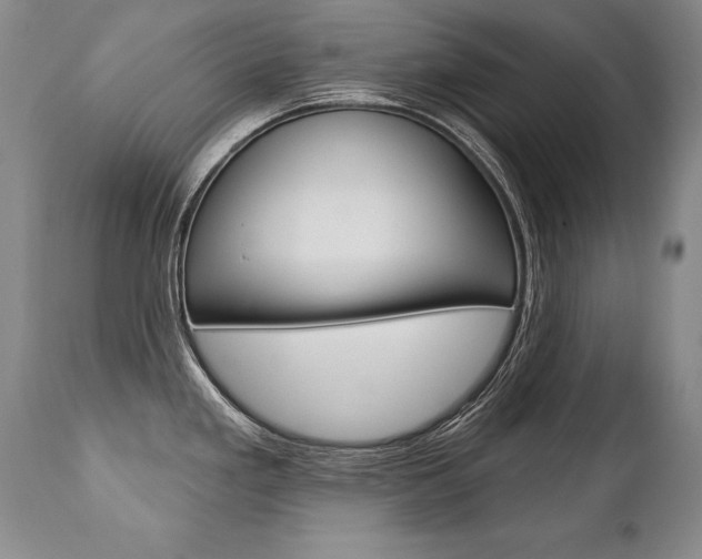 X0000112461293200908171007