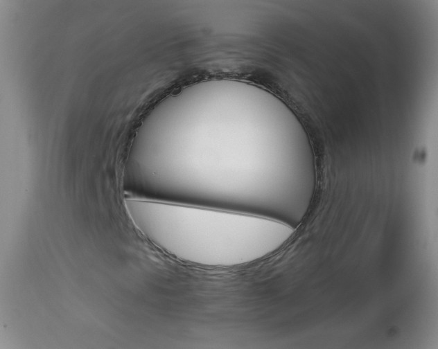 X0000112461297200908171006