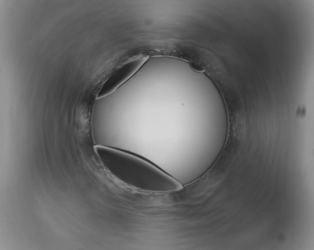 X0000112461298200908171006