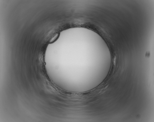 X0000112461299200908171006