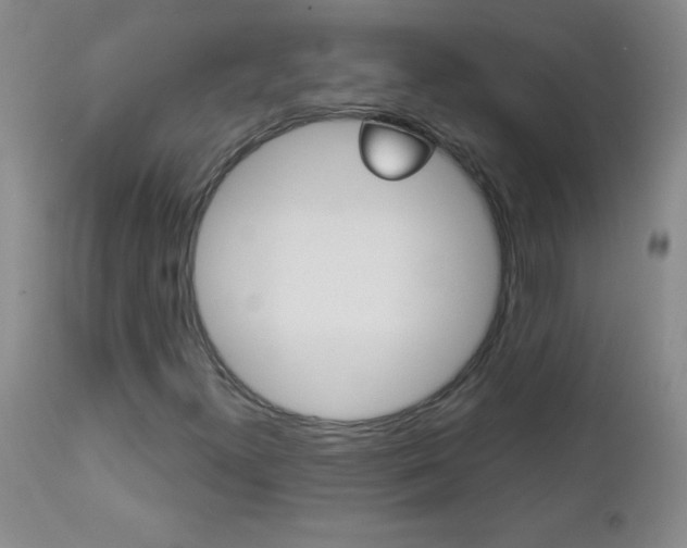 X0000112461300200908171006
