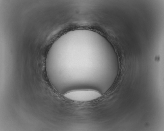 X0000112461301200908171006